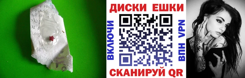 Купить  Карачев  ЭКСТАЗИ Philipp Plein 