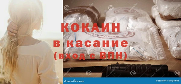 ешки Дмитриев