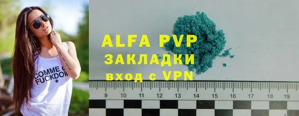 ешки Дмитриев