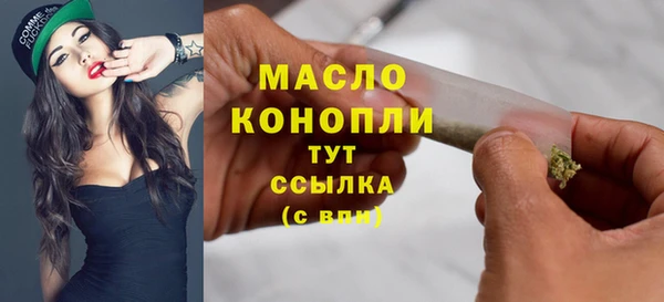 гидра Дмитров