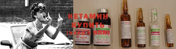 гидра Дмитров