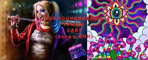 ешки Дмитриев