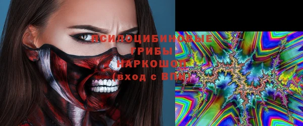 гидра Дмитров